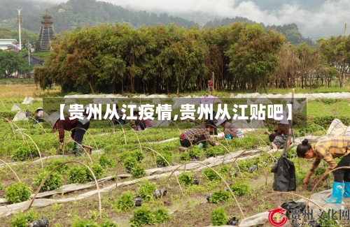 【贵州从江疫情,贵州从江贴吧】