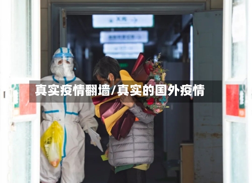 真实疫情翻墙/真实的国外疫情-第3张图片