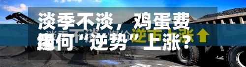 淡季不淡，鸡蛋费用缘何“逆势	”上涨？-第2张图片