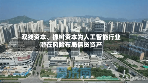双线资本、橡树资本为人工智能行业潜在风险布局信贷资产-第2张图片