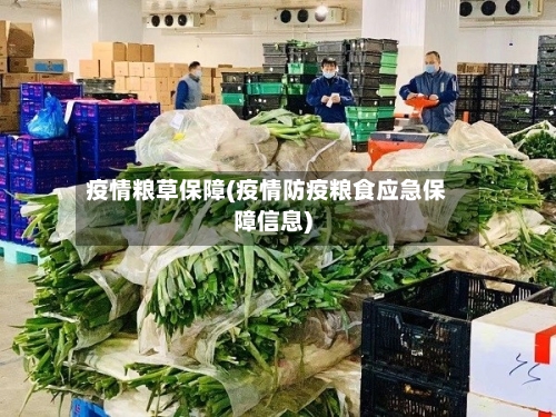 疫情粮草保障(疫情防疫粮食应急保障信息)-第2张图片