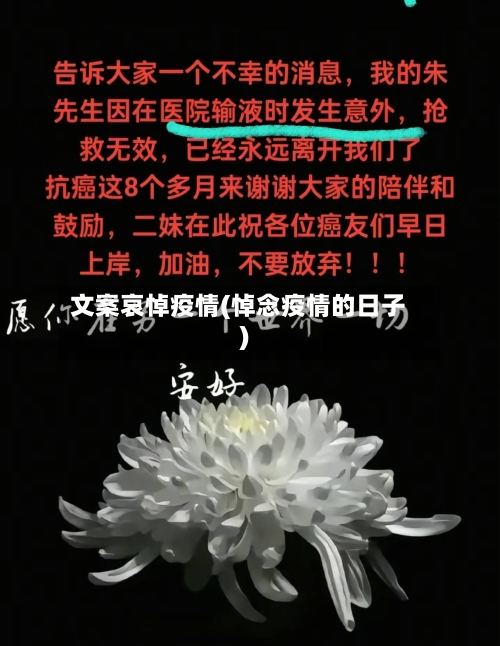 文案哀悼疫情(悼念疫情的日子)