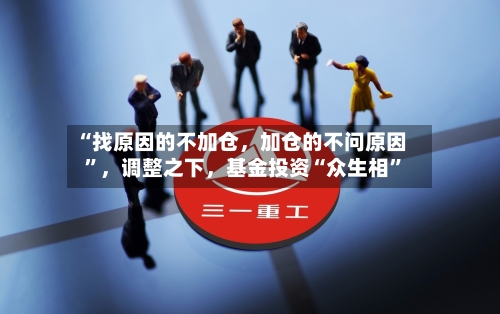 “找原因的不加仓，加仓的不问原因”	，调整之下，基金投资“众生相	”-第3张图片