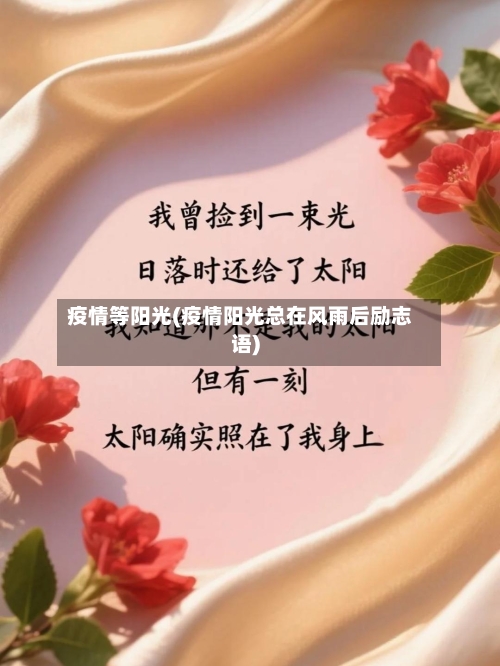 疫情等阳光(疫情阳光总在风雨后励志语)-第3张图片