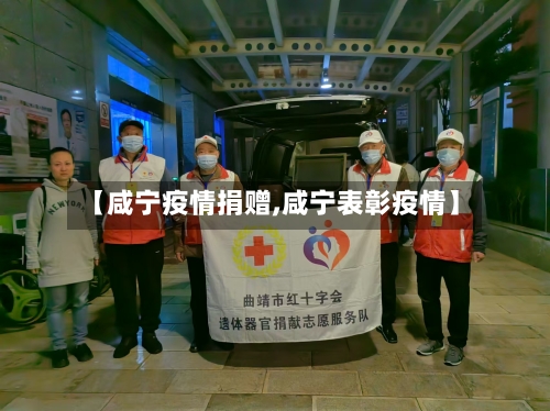 【咸宁疫情捐赠,咸宁表彰疫情】-第2张图片