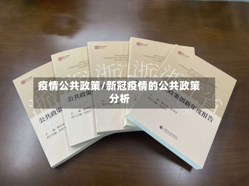 疫情公共政策/新冠疫情的公共政策分析-第2张图片