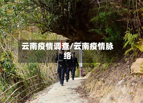 云南疫情调查/云南疫情脉络-第2张图片