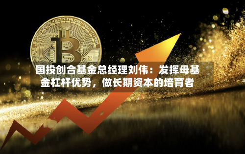国投创合基金总经理刘伟：发挥母基金杠杆优势	，做长期资本的培育者-第3张图片
