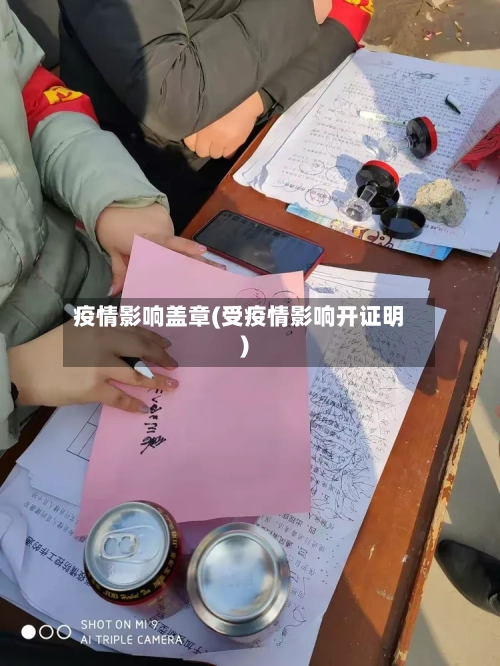疫情影响盖章(受疫情影响开证明)-第2张图片