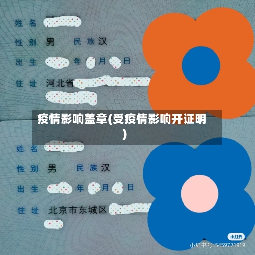 疫情影响盖章(受疫情影响开证明)-第3张图片