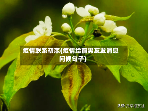 疫情联系初恋(疫情给前男友发消息问候句子)