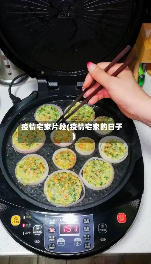 疫情宅家片段(疫情宅家的日子)-第2张图片
