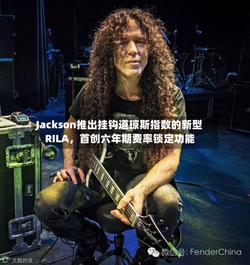 Jackson推出挂钩道琼斯指数的新型RILA，首创六年期费率锁定功能-第2张图片