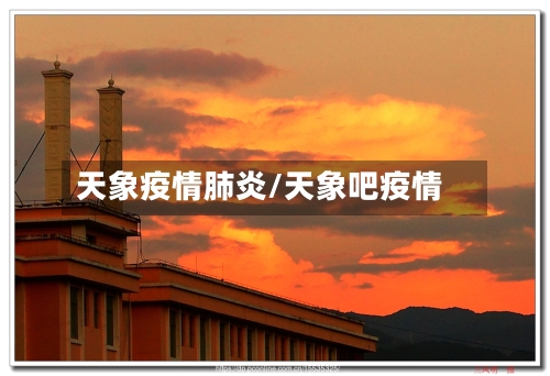 天象疫情肺炎/天象吧疫情-第2张图片