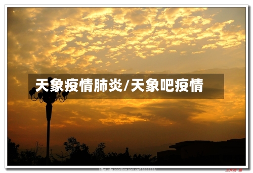 天象疫情肺炎/天象吧疫情-第3张图片