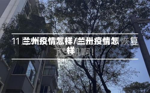 兰州疫情怎样/兰卅疫情怎样