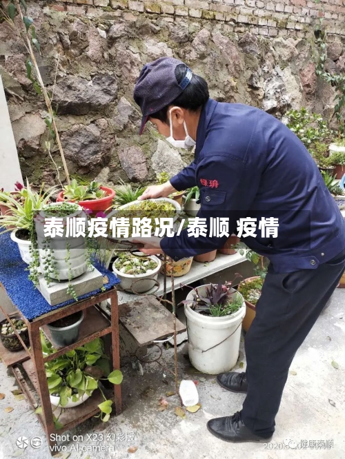 泰顺疫情路况/泰顺 疫情-第3张图片