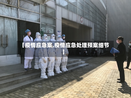 【疫情应急案,疫情应急处理预案细节】