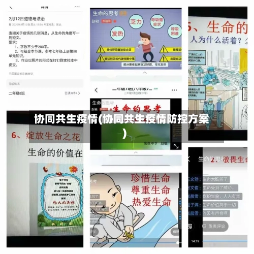 协同共生疫情(协同共生疫情防控方案)