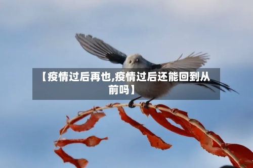 【疫情过后再也,疫情过后还能回到从前吗】