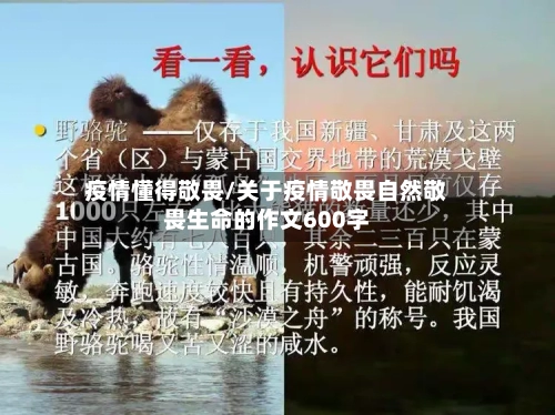 疫情懂得敬畏/关于疫情敬畏自然敬畏生命的作文600字