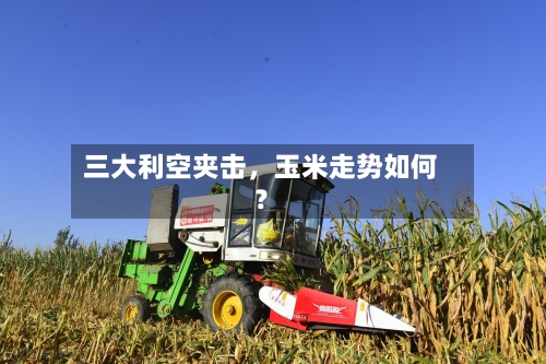 三大利空夹击	，玉米走势如何？-第3张图片