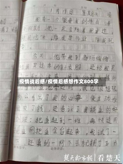 疫情战后感/疫情后感想作文800字