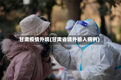 甘肃疫情外境(甘肃省境外输入病例)-第2张图片