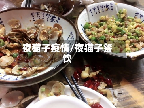 夜猫子疫情/夜猫子餐饮-第2张图片