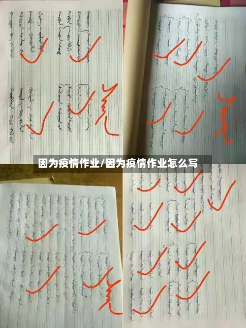 因为疫情作业/因为疫情作业怎么写