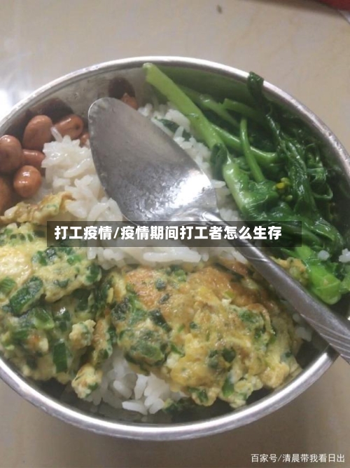 打工疫情/疫情期间打工者怎么生存-第2张图片