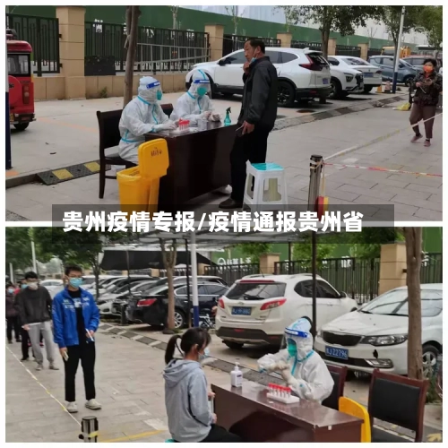 贵州疫情专报/疫情通报贵州省