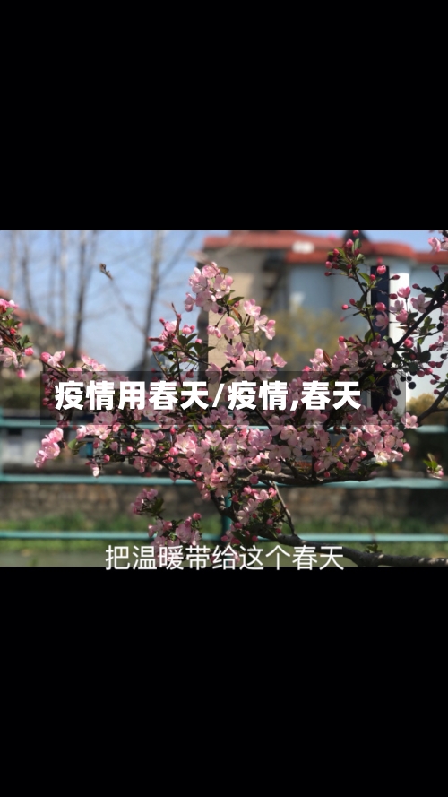 疫情用春天/疫情,春天