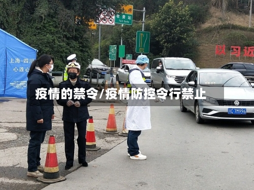 疫情的禁令/疫情防控令行禁止-第3张图片