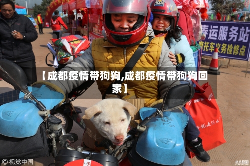 【成都疫情带狗狗,成都疫情带狗狗回家】-第2张图片