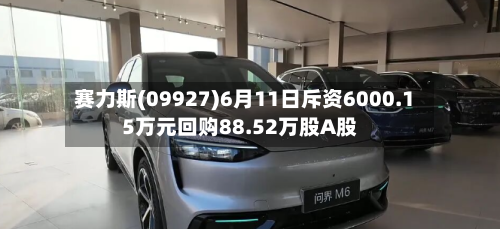 赛力斯(09927)6月11日斥资6000.15万元回购88.52万股A股