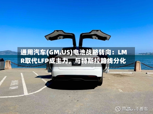 通用汽车(GM.US)电池战略转向：LMR取代LFP成主力	，与特斯拉路线分化-第3张图片