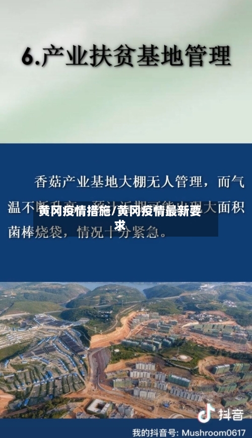 黄冈疫情措施/黄冈疫情最新要求-第3张图片