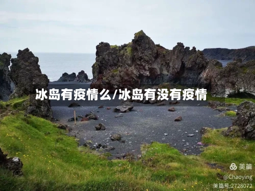 冰岛有疫情么/冰岛有没有疫情