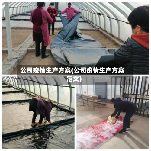 公司疫情生产方案(公司疫情生产方案范文)