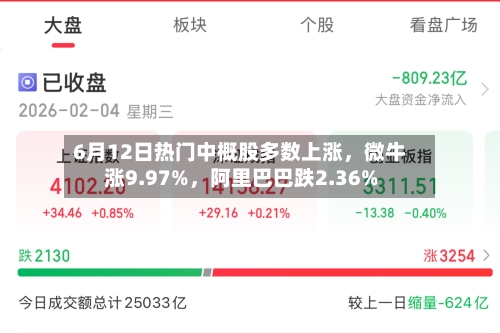 6月12日热门中概股多数上涨	，微牛涨9.97%，阿里巴巴跌2.36%-第2张图片