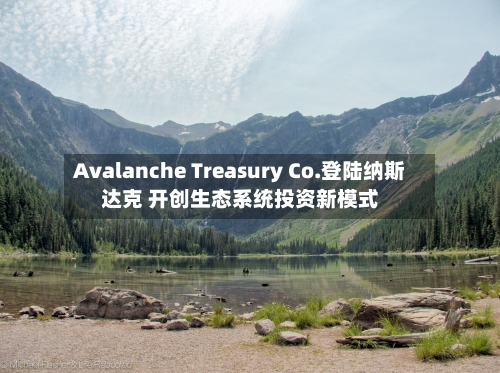 Avalanche Treasury Co.登陆纳斯达克 开创生态系统投资新模式-第3张图片