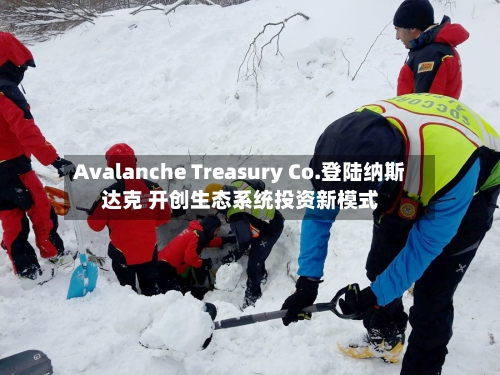 Avalanche Treasury Co.登陆纳斯达克 开创生态系统投资新模式-第2张图片