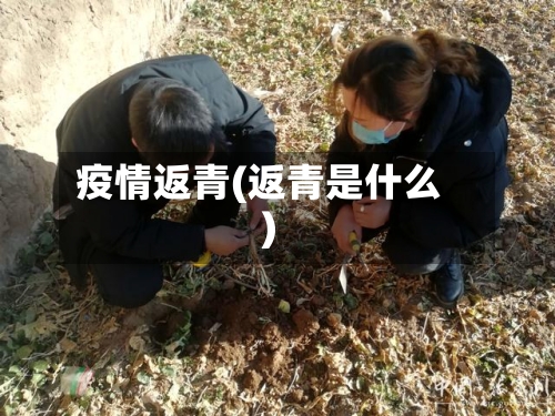 疫情返青(返青是什么)