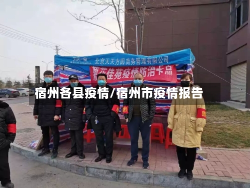宿州各县疫情/宿州市疫情报告-第2张图片