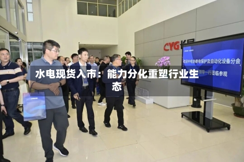 水电现货入市：能力分化重塑行业生态