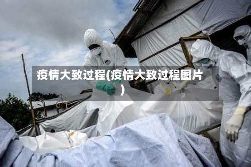 疫情大致过程(疫情大致过程图片)