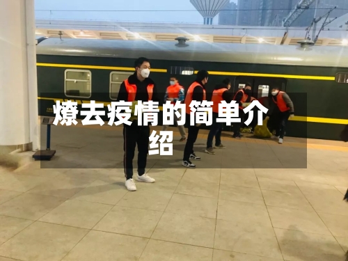 燎去疫情的简单介绍-第2张图片