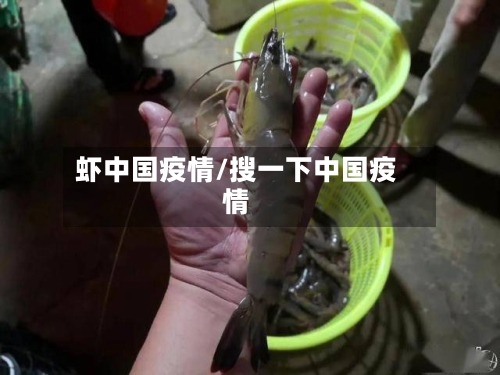 虾中国疫情/搜一下中国疫情-第2张图片