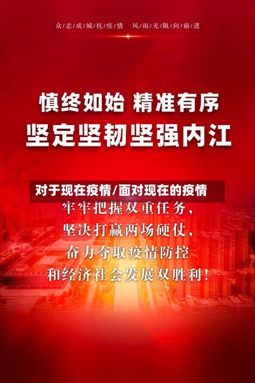 对于现在疫情/面对现在的疫情-第2张图片